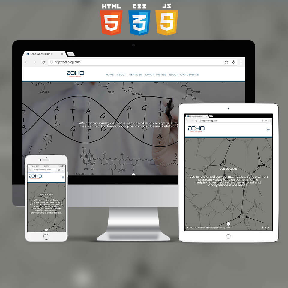 Echo Consulting Group Website