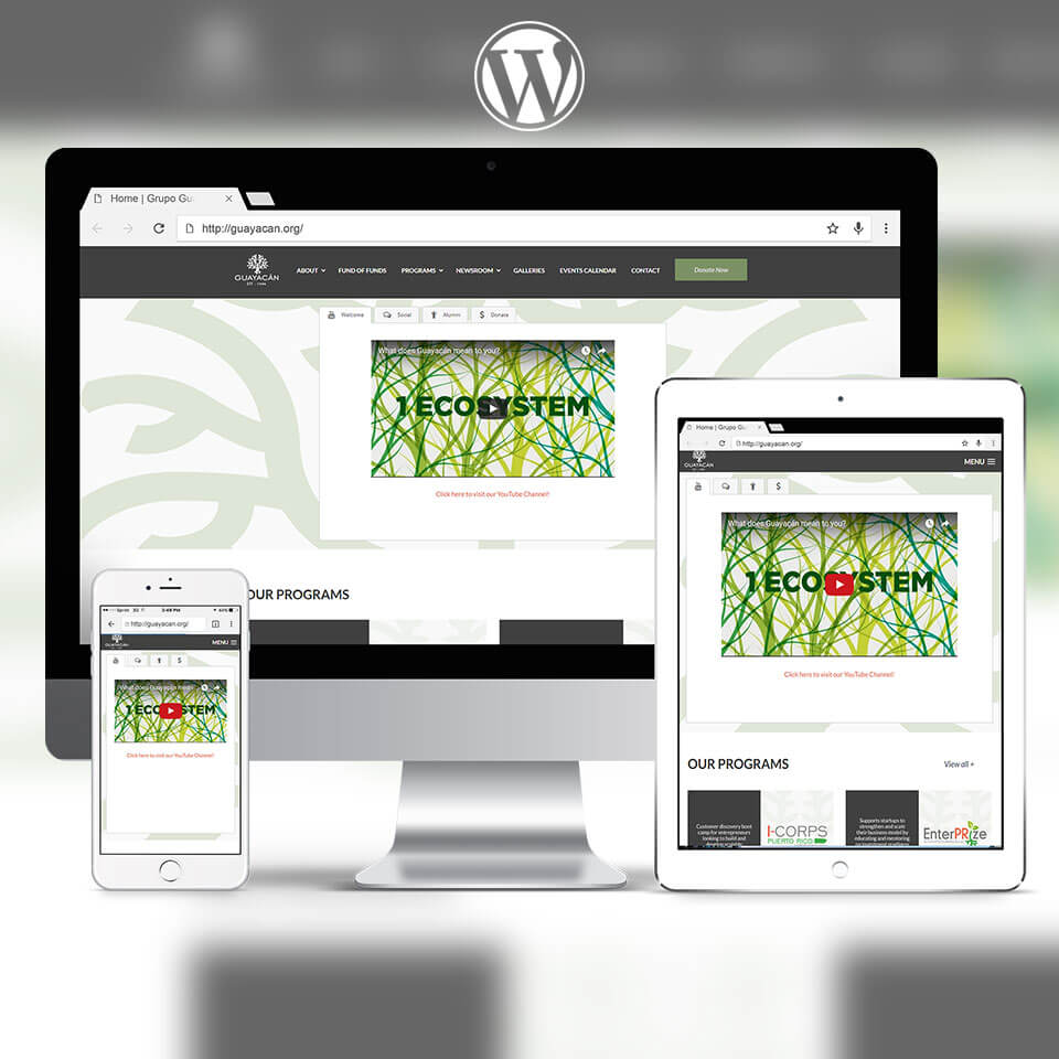 Guayacan Website